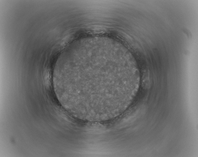 X0000115340866200911231430