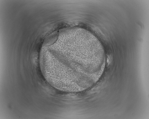 X0000115340867200911231430