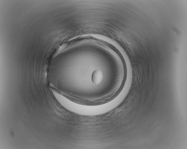 X0000115340868200911231430