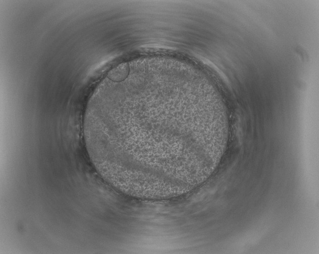 X0000115340870200911231430