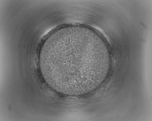 X0000115340871200911231430