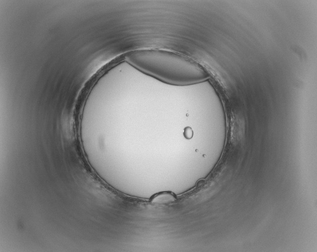 X0000115340876200911231430