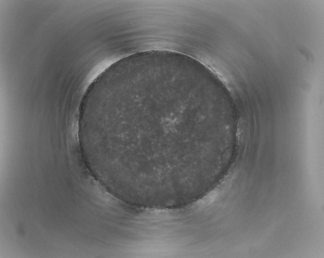 X0000115340877200911231430