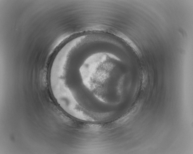 X0000115340878200911231430