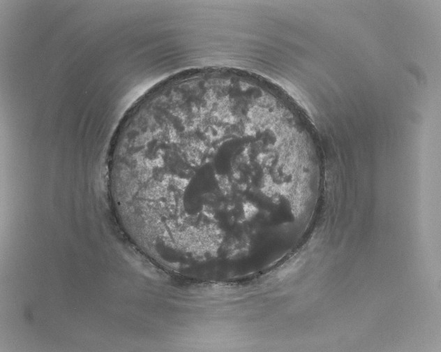 X0000115340879200911231430