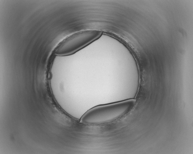 X0000115340880200911231430