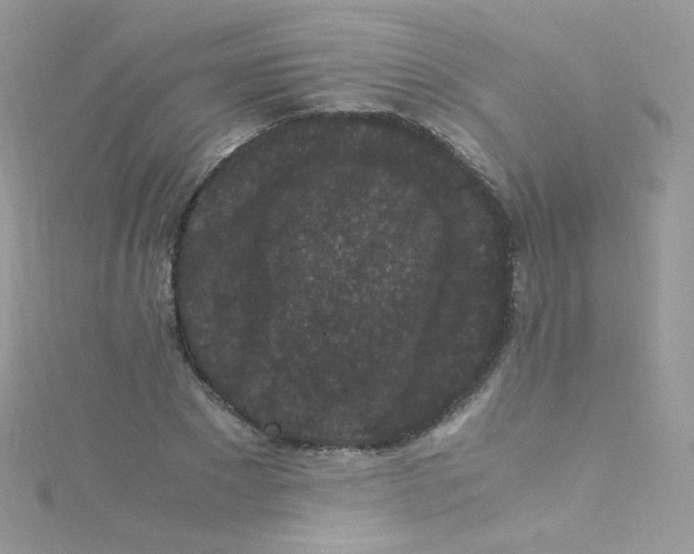 X0000115340881200911231430