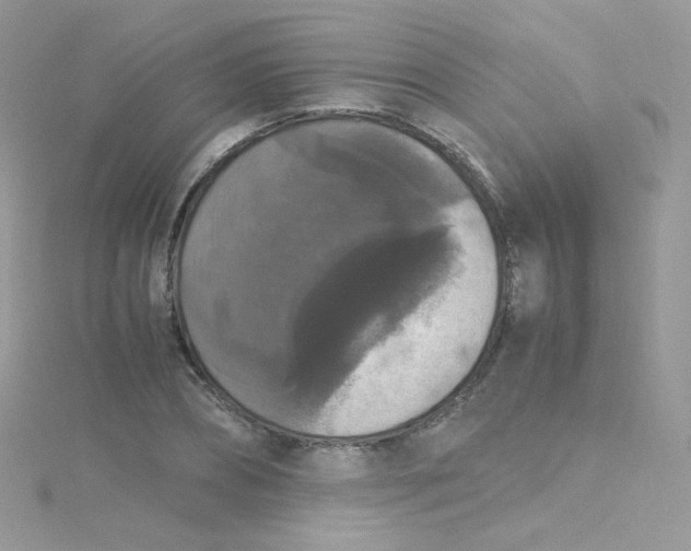 X0000115340882200911231430