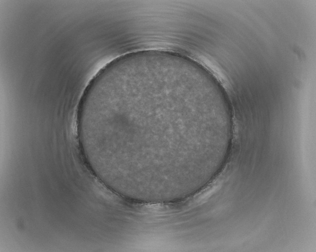 X0000115340883200911231430