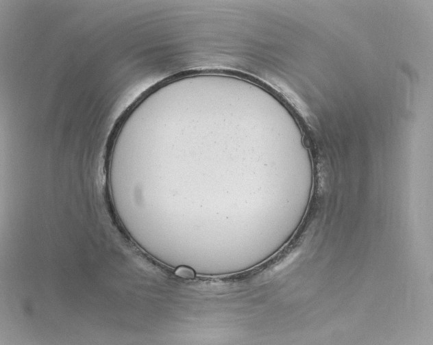 X0000115340885200911231430