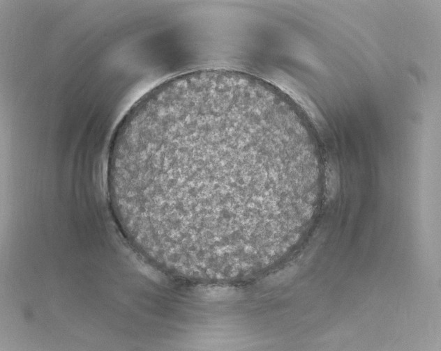 X0000115340886200911231430