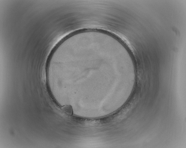 X0000115340887200911231430