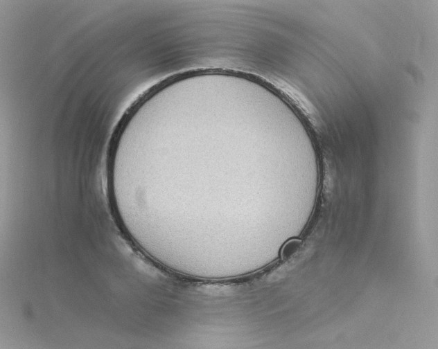 X0000115340888200911231430