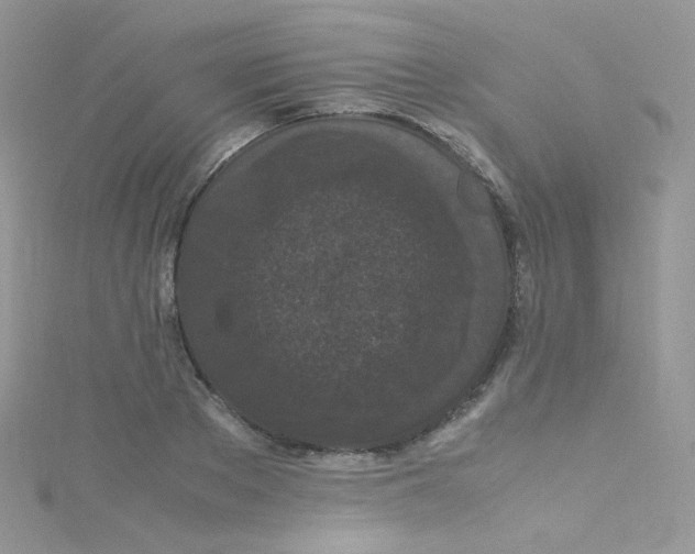 X0000115340889200911231430