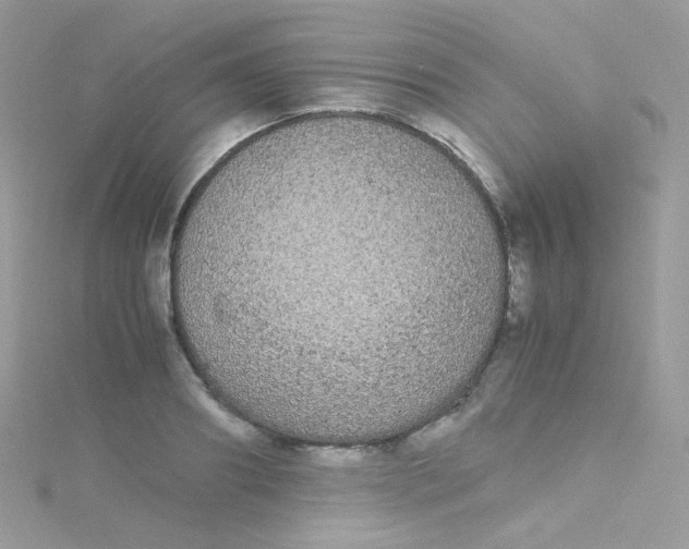 X0000115340890200911231430