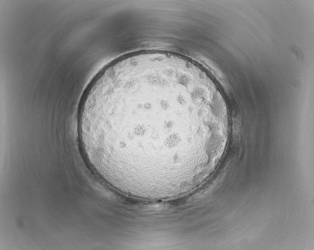 X0000115340891200911231430