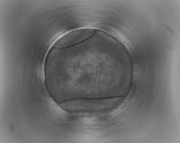 X0000115340892200911231430