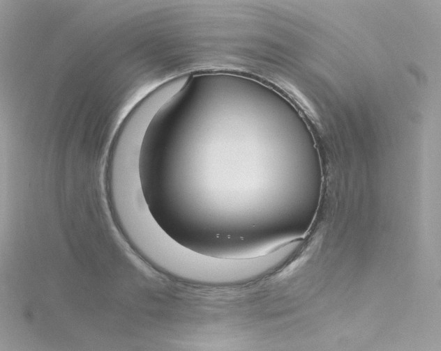 X0000115340893200911231430