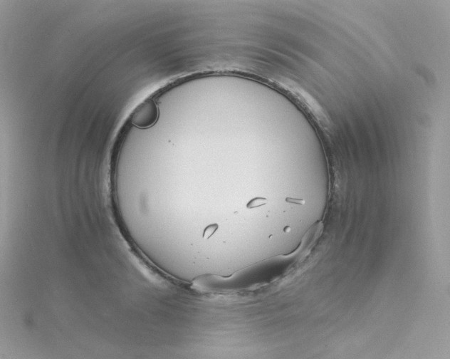 X0000115340894200911231430