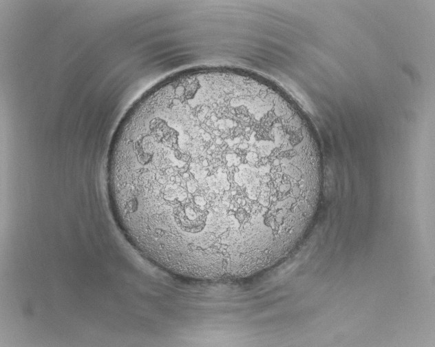 X0000115340895200911231430