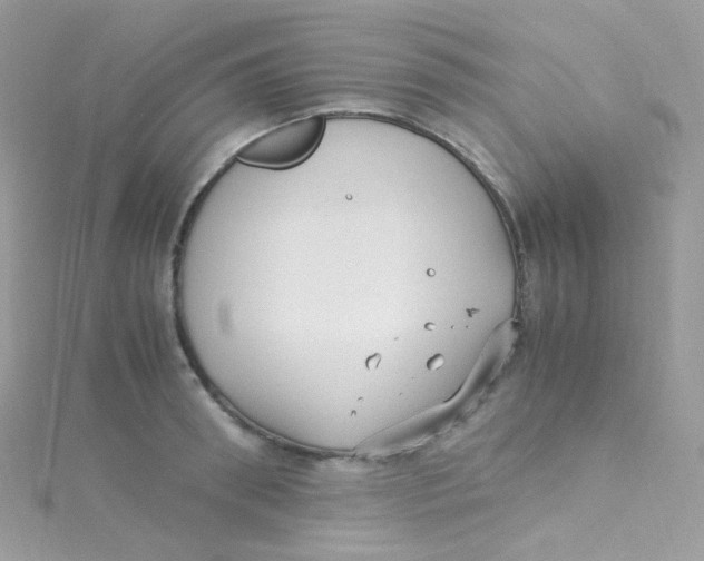 X0000115340898200911231430