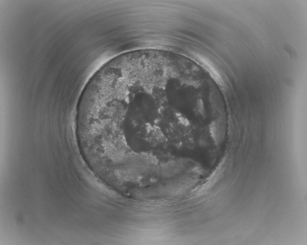 X0000115340899200911231430