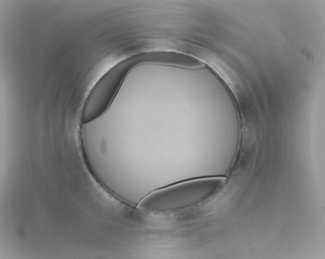 X0000115340901200911231430