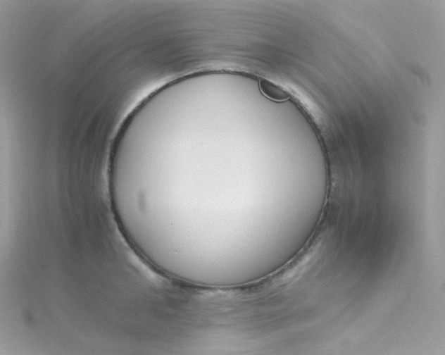 X0000115340902200911231430