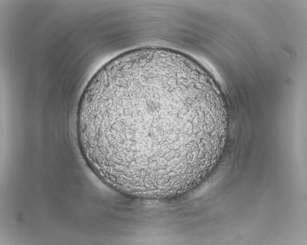 X0000115340903200911231430