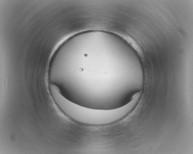 X0000115340904200911231430