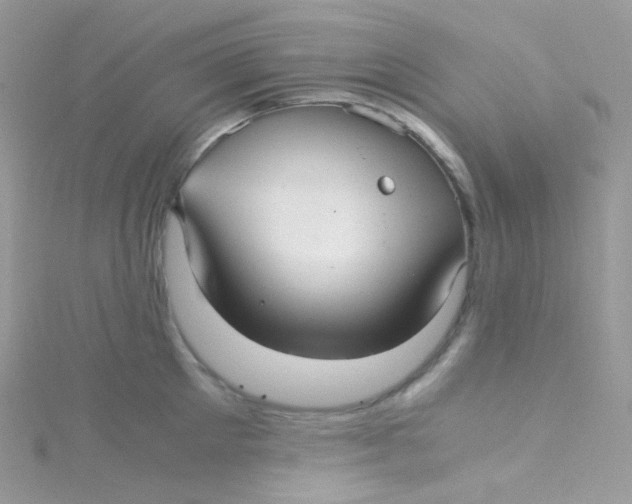 X0000115340905200911231430