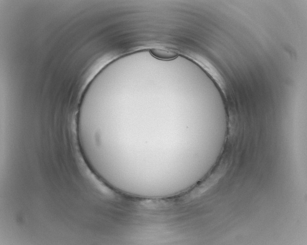 X0000115340906200911231430