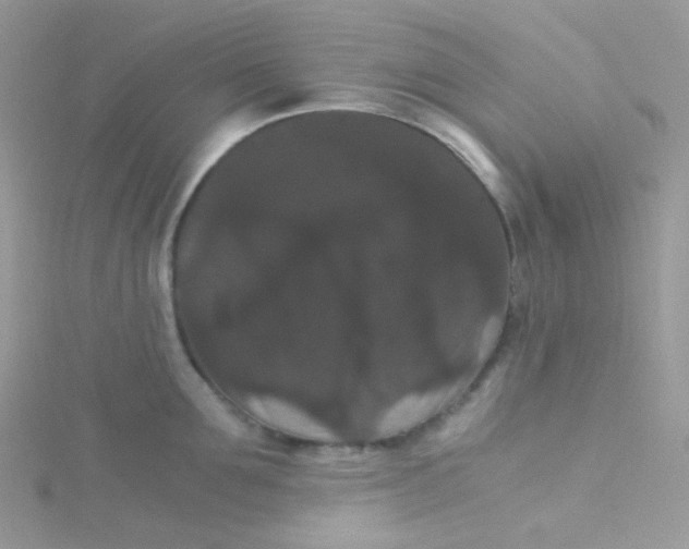 X0000115340907200911231430