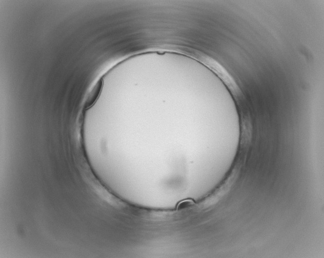 X0000115340908200911231430