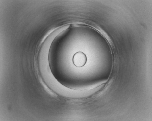 X0000115340909200911231430