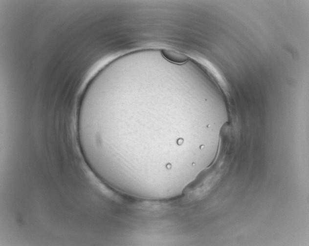 X0000115340910200911231430