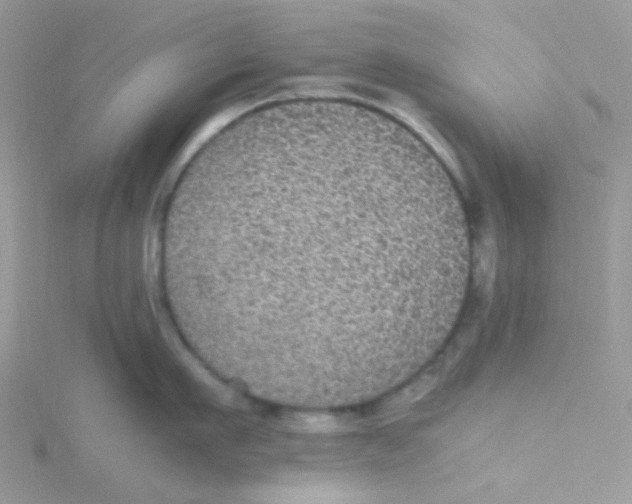 X0000115340911200911231430