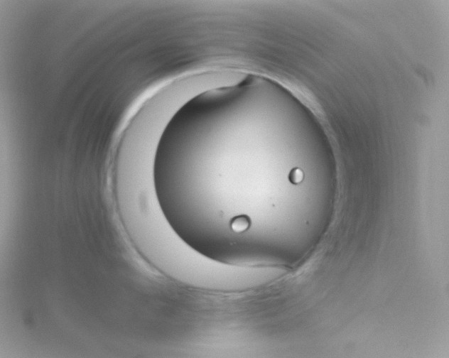 X0000115340912200911231430