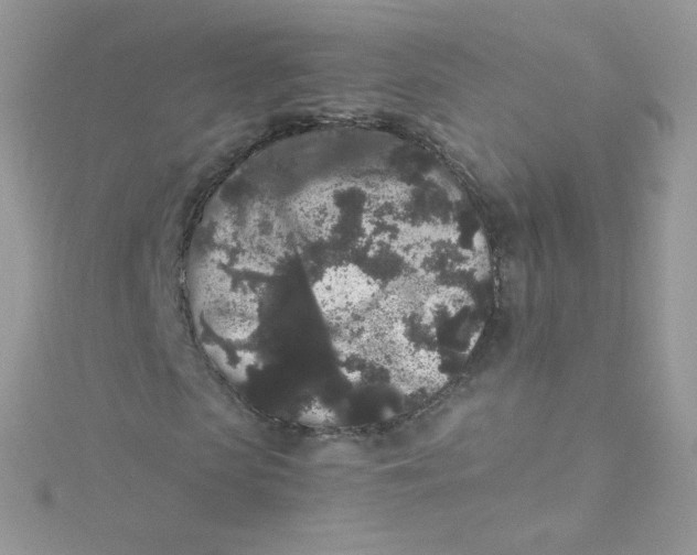 X0000115340913200911231429