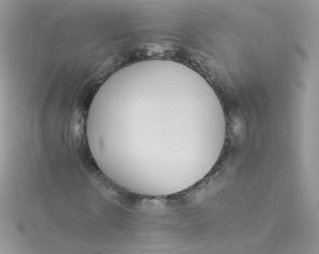 X0000115340914200911231429