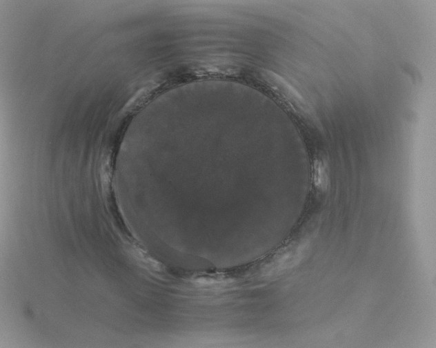 X0000115340915200911231429