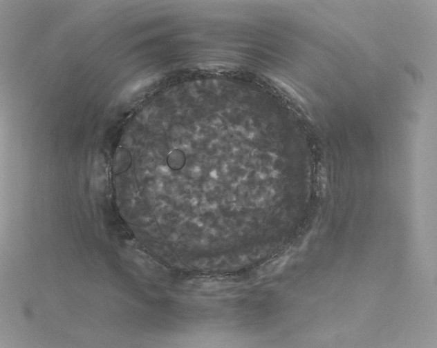 X0000115340917200911231429