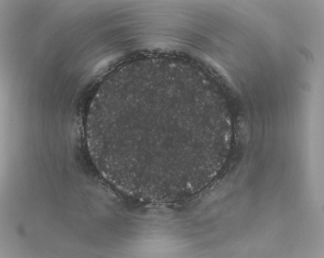 X0000115340918200911231429