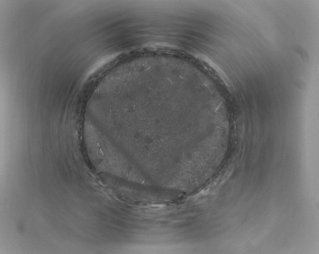 X0000115340919200911231429