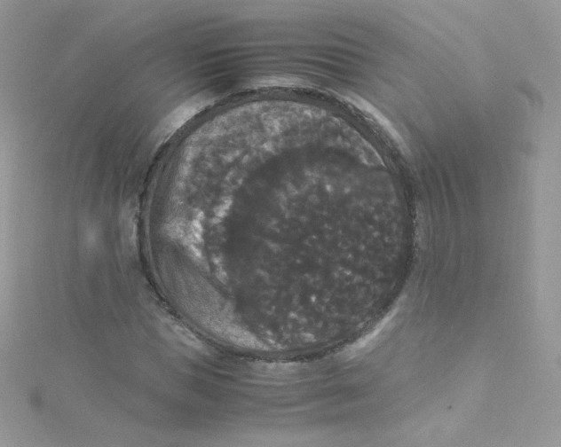 X0000115340921200911231429