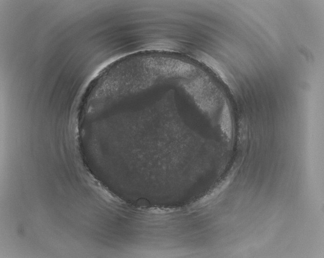 X0000115340923200911231429