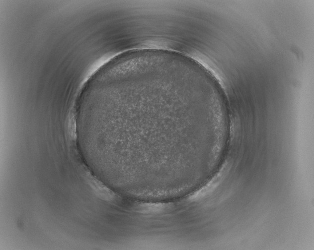 X0000115340925200911231429