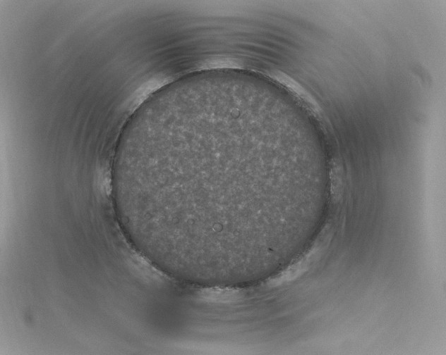 X0000115340929200911231429