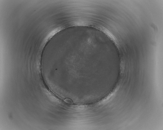 X0000115340930200911231429