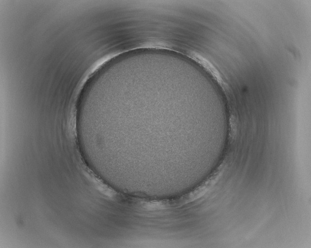 X0000115340931200911231429